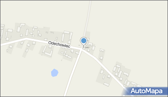 7960016386, Irena Cholewa Sklep Spożywczo-Przemysłowy 