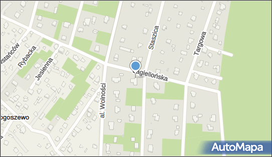 550355467, Sklep Spożywczo-Przemysłowy Lidia Falak 