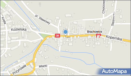 7481000878, Sklep Spożywczo-Przemysłowy Woźniak Jadwiga 