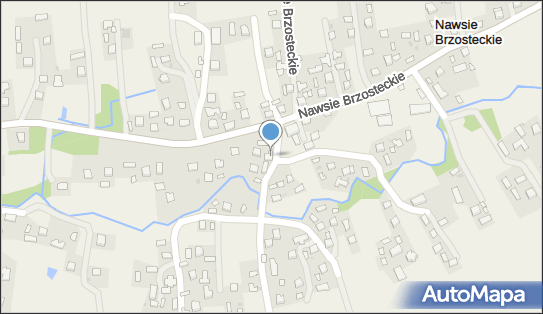 Sklep Spożywczo Przemysłowy, Nawsie Brzosteckie 29 39-230 - Spożywczy, Przemysłowy - Sklep, NIP: 8721031526