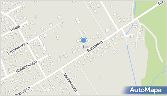 Sklep Spożywczo Przemysłowy, Brzozowa 35, Jedlicze 38-460 - Spożywczy, Przemysłowy - Sklep, NIP: 6841000243