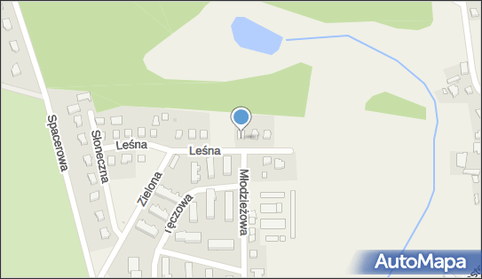 8431164265, Sklep Spożywczo-Przemysłowy Moga Wioleta 