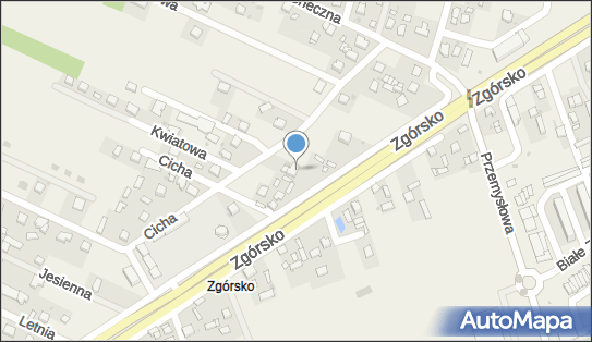 290878893, Sklep Spożywczo-Przemysłowy Borla Piotr 