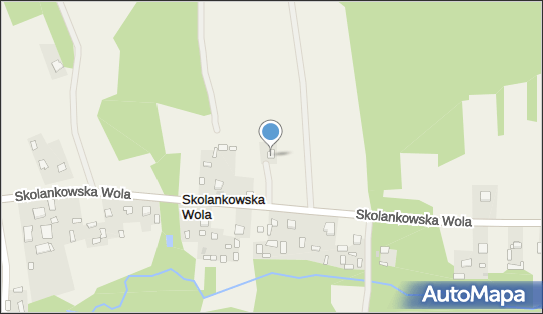 Sklep Spożywczo Przemysłowy, Skolankowska Wola 22 28-276 - Spożywczy, Przemysłowy - Sklep, NIP: 8631129380