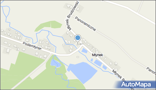 Sklep Spożywczo Przemysłowy, ul. Młynek Brudzowski 3, Brudzów 26-026 - Spożywczy, Przemysłowy - Sklep, NIP: 6571640983