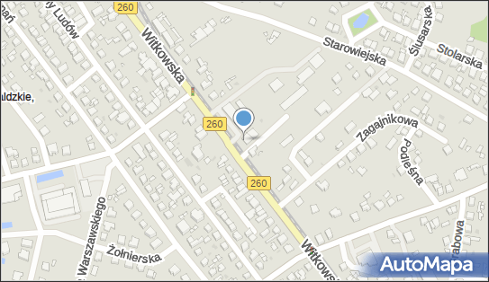 Sklep Spożywczo Przemysłowy, ul. Witkowska 119, Gniezno 62-200 - Spożywczy, Przemysłowy - Sklep, numer telefonu, NIP: 7842228397