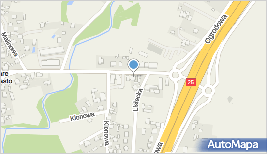 Sklep Spożywczo Przemysłowy, ul. Główna 20, Stare Miasto 62-571 - Spożywczy, Przemysłowy - Sklep, numer telefonu, NIP: 6651670093