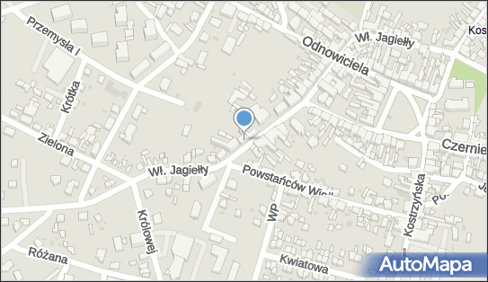 Sklep Spożywczo Przemysłowy, ul. Władysława Jagiełły 38 62-010 - Spożywczy, Przemysłowy - Sklep, NIP: 7841590245