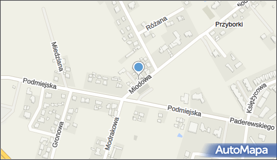 7891040268, Sklep Spożywczo-Przemysłowy Renata Krawczyk 