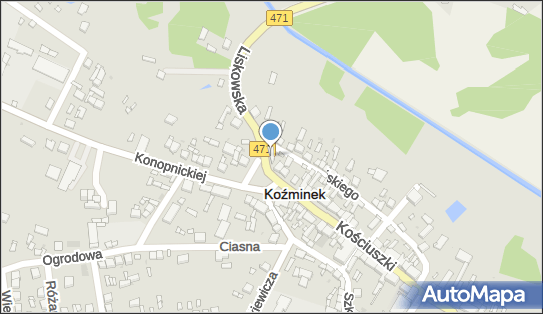 9680396265, Sklep Spożywczo-Przemysłowy Lejman Monika 