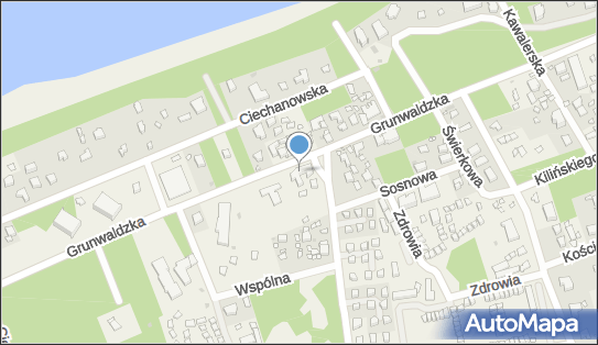 8571498859, Sklep Spożywczo-Przemysłowy Zofia Troczyńska 