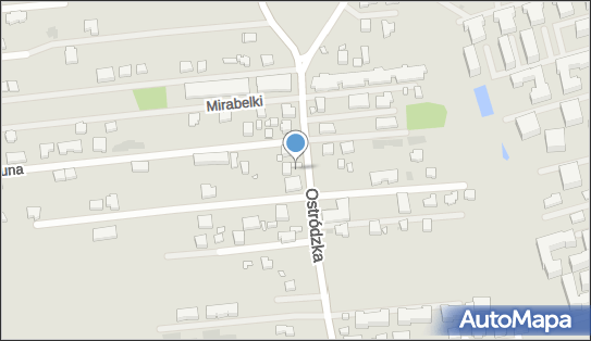 Sklep Spożywczo-Przemysłowy, ul. Ostródzka 151, Warszawa - Spożywczy, Przemysłowy - Sklep