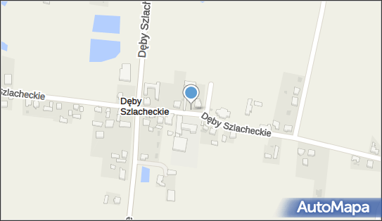 Sklep spożywczy, Dęby Szlacheckie 53, Dęby Szlacheckie 62-613 - Spożywczy, Przemysłowy - Sklep