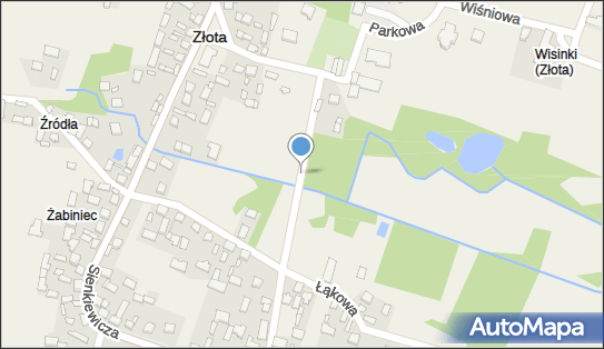 290246667, Sklep Spożywczy Nowak Anna 
