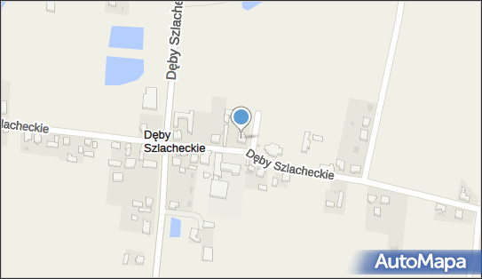 Sklep Spożywczy, Dęby Szlacheckie 53, Dęby Szlacheckie 62-613 - Spożywczy, Przemysłowy - Sklep, numer telefonu, NIP: 6660011007