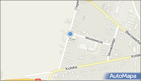 6661930874, Sklep Spożywczy Woszczyńska Małgorzata 