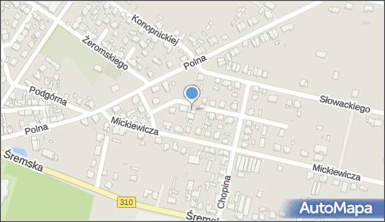 Sklep Spożywczy, ul. Fryderyka Chopina 13, Czempiń 64-020 - Spożywczy, Przemysłowy - Sklep, NIP: 7851426429
