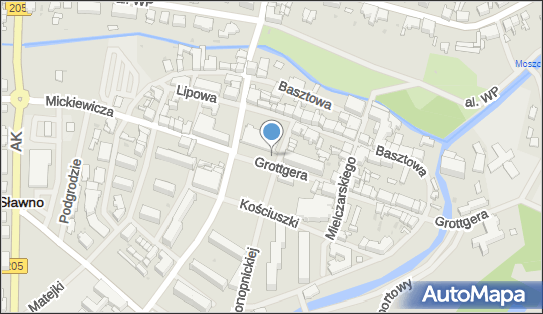 8391749811, Sklep Spożywczy Elżbieta Chiniewicz 