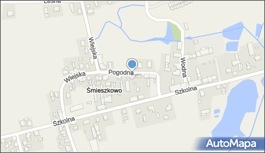 Sklep Wielobranżowy Przemysław Włodarek, Pogodna 10, Śmieszkowo 64-700 - Spożywczy, Przemysłowy - Sklep, NIP: 7631084292