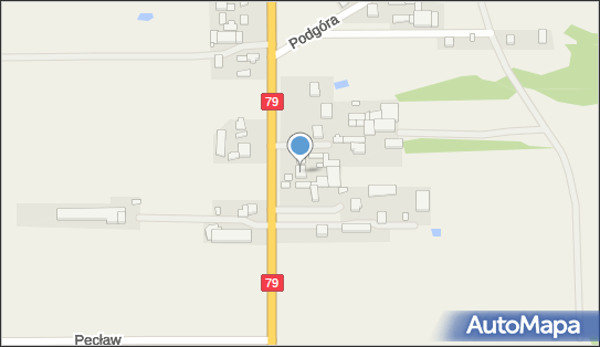 1230019908, Sklep Wielobranżowy Przybysz Elżbieta 