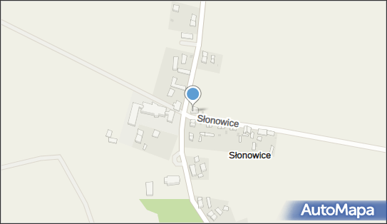 Sklep Wielobranżowy, Słonowice 29, Słonowice 76-255 - Spożywczy, Przemysłowy - Sklep, NIP: 8391013518