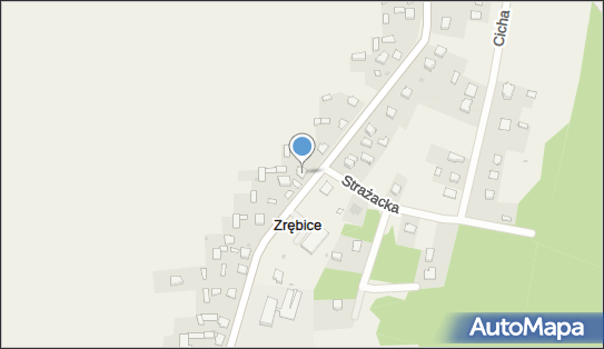 Sklep Wielobranżowy, ul. Główna 128, Zrębice Pierwsze 42-256 - Spożywczy, Przemysłowy - Sklep, numer telefonu, NIP: 9490678747