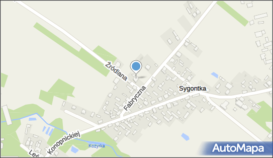 Sklep Wielobranżowy, Fabryczna 15, Sygontka 42-250 - Spożywczy, Przemysłowy - Sklep, numer telefonu, NIP: 9490869631