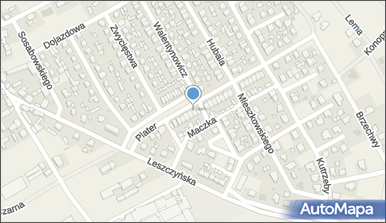 6972165074, Sklep Wielobranżowy Apolinarska Agnieszka Uniejewska 