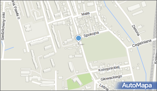 5970004202, Sklep Mieczysław Chabraszewski 
