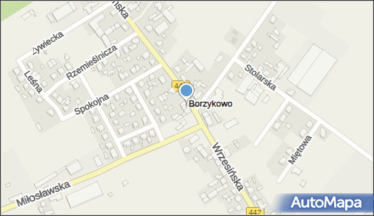 Sklep, Wrzesińska 78, Borzykowo 62-307 - Spożywczy, Przemysłowy - Sklep