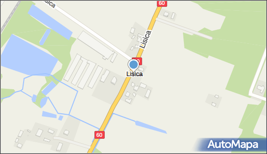 Spożywczo-monopolowy, DK 60, Lisica - Spożywczy, Przemysłowy - Sklep