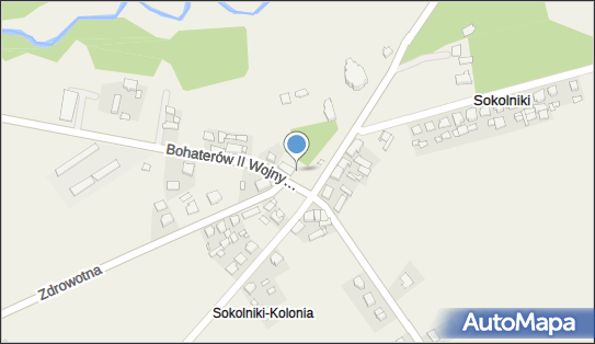 Spożywczy, Przemysłowy - Sklep, Bohaterów II Wojny Światowej 24 62-305 - Spożywczy, Przemysłowy - Sklep