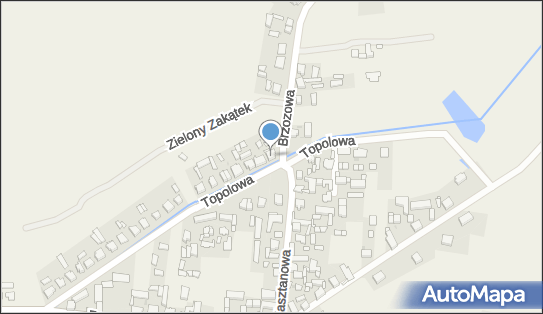 Spożywczy, Przemysłowy - Sklep, Topolowa 41, Przemęt - Spożywczy, Przemysłowy - Sklep