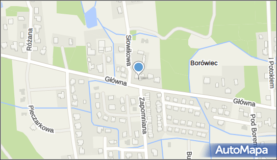 Spożywczy, Przemysłowy - Sklep, Główna 28c, Borówiec 62-023 - Spożywczy, Przemysłowy - Sklep