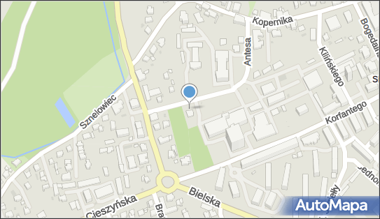 Centrum Dializa, dr. Witolda Antesa 11, Pszczyna 43-200 - Stacja dializ, numer telefonu