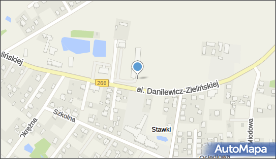 Okręgowa Stacja Kontroli Pojazdów, Stawki 87-700 - Stacja Kontroli Pojazdów, godziny otwarcia, numer telefonu