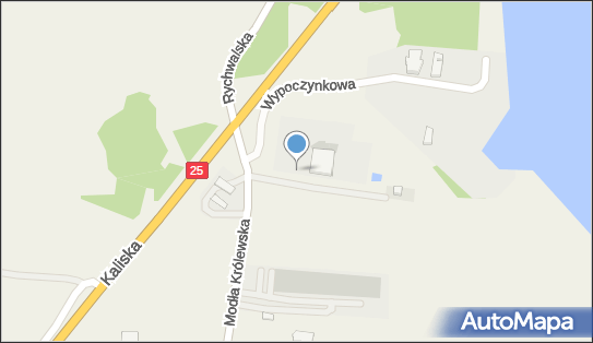 Polsad, Ogrodowa 73, Stare Miasto 62-571 - Stacja Kontroli Pojazdów, godziny otwarcia, numer telefonu