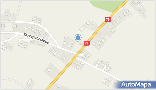 TSA 005, Skrzypaczowice 82, Skrzypaczowice - Stacja Kontroli Pojazdów