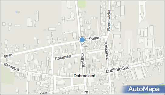 Kinga Wieschollek Stacja Paliw NK, ul. Oleska 6, Rzędowice 46-380 - Stacja paliw, NIP: 5761500397