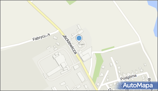 LIPRO Petrol, Adama Mickiewicza 92, Żnin 88-400 - Stacja paliw, godziny otwarcia, numer telefonu