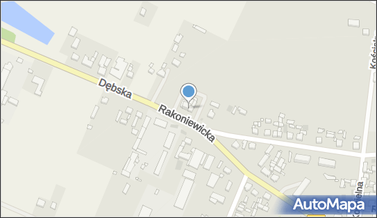 Stacja Paliw + gaz + sklepik, DW312, Rakoniewicka 22, Wielichowo 64-050 - Stacja paliw