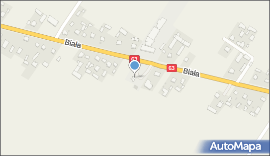 Stacja Paliw Orzeł Górny Sławomir, Biała 31, Biała 21-300 - Stacja paliw, NIP: 5381134041