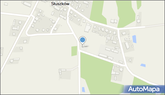 Stacja paliw, Słuszków 33b, Słuszków 62-831 - Stacja paliw