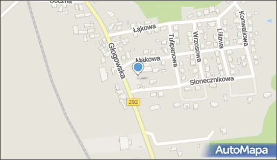 Stacja paliw, Głogowska, Nowa Sól 67-100 - Stacja paliw