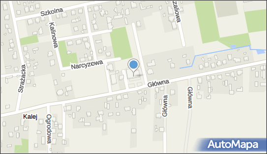 Stokrotka - Supermarket, Główna 24C, Kalej 42-130, godziny otwarcia, numer telefonu