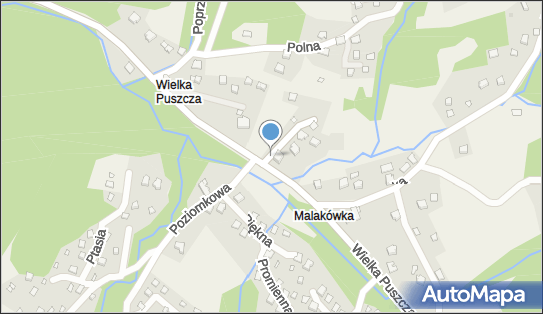 Ochotnicza Straż Pożarna Wielka Puszcza, Wielka Puszcza 147 43-353 - Straż Pożarna