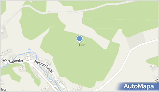 Biesy (Lepsza), Nasturcjowa, Wojcieszyce 58-560