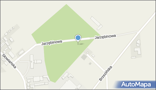 Szczyt, Jarzębinowa, Bedoń-Wieś 95-020