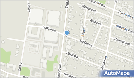 Leader School Nowoczesne Metody Nauczania, Łubinowa 54a, Łódź - Szkoła językowa