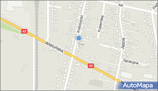 Szkoła Języków Obcych 'Green School' Agnieszka Worwąg 42-100 - Szkoła kształcenia ustawicznego, numer telefonu